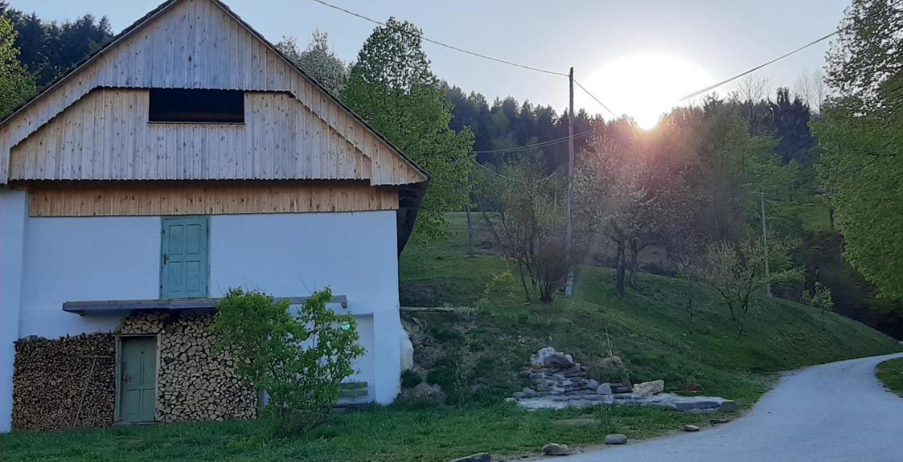 Gorenja Vas Healing Farmアパートメント エクステリア 写真